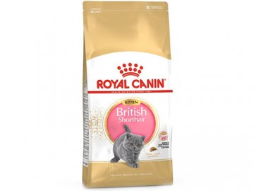 Royal Canin (Роял Канин) - Kitten British Shorthair, Сухой корм для котят породы британская короткошерстная, 10 кг