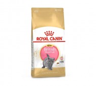 Royal Canin (Роял Канин) - Kitten British Shorthair, Сухой корм для котят породы британская короткошерстная, 10 кг