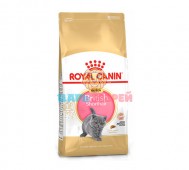 Royal Canin (Роял Канин) - Kitten British Shorthair, корм для котят британской короткошерстной, 10 кг