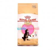 Royal Canin (Роял Канин) - Kitten Maine Coon, корм для  котят мейн кунов, 2 кг
