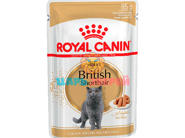 Royal Canin (Роял Канин) - BRITISH SHORTHAIR, корм для кошек британской короткошерстной породы старше 12 месяцев, пауч 85 г