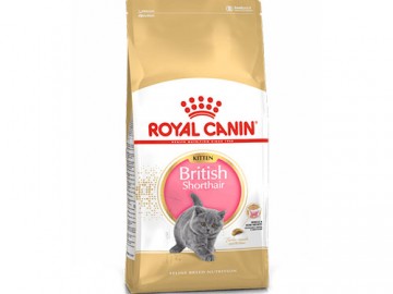 Royal Canin (Роял Канин) - Kitten British Shorthair, корм для котят британской короткошерстной, 2 кг