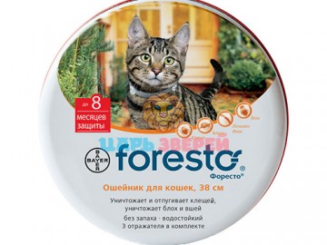 Bayer (Баер) - Foresto, Форесто, ошейник от блох для кошек, 38см