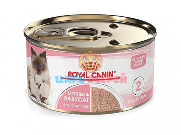 Royal Canin (Роял Канин) - Babycat Бэбикэт, мусс для котят от 1 до 4-х месяцев, 195 г