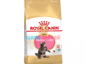 Royal Canin (Роял Канин) - Kitten Maine Coon, корм для  котят мейн кунов, 10 кг