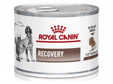 Royal Canin (Роял Канин) - Recovery, Диетический корм в восстановительный период после болезни, баночка 195 г