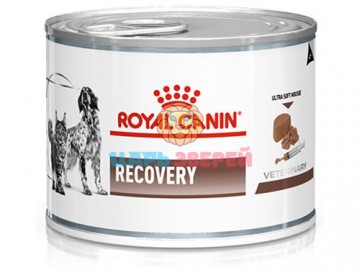 Royal Canin (Роял Канин) - Recovery, Диетический корм в восстановительный период после болезни, баночка 195 г