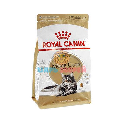 Royal canin maine coon