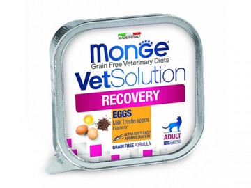 Monge (Монже) - VetSolution Recovery Cat, влажный корм в виде паштета для кошек после операций и травм, ламистер 100 г
