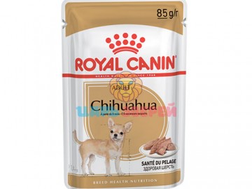 Royal Canin (Роял Канин) - Adult, Chihuahua, Влажный корм для собак породы Чихуахуа в возрасте с 8 месяцев, пауч 85 г