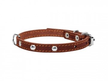 COLLAR (Коллар) - Ошейник одинарный, ш: 12 мм, дл: 24-32 см, коричневый