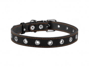 COLLAR (Коллар) - Ошейник безразмерный, ш: 25 мм, дл: 60 см, черный