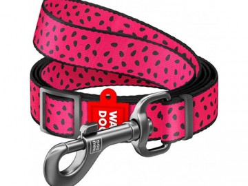 COLLAR (Коллар) - WAUDOG Nylon, Поводок нейлоновый рисунок 