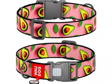 COLLAR (Коллар) - WAUDOG Nylon, Ошейник нейлон пластиковый фастекс с QR паспортом 
