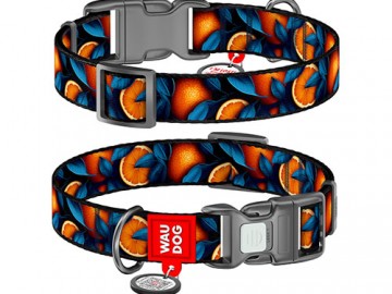 COLLAR (Коллар) - WAUDOG Nylon, Ошейник нейлон пластиковый фастекс с QR паспортом 
