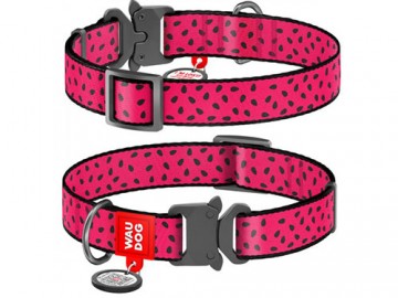 COLLAR (Коллар) - WAUDOG Nylon, Ошейник нейлон металлическая пряжка-фастекс с QR паспортом 