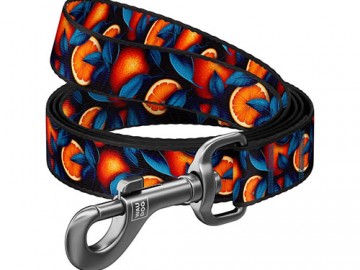 COLLAR (Коллар) - WAUDOG Nylon, Поводок нейлоновый рисунок 