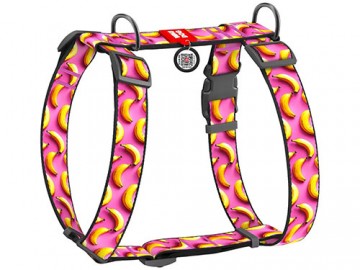 COLLAR (Коллар) - WAUDOG Nylon, Шлейка для собак анатомическая H-образная с QR-паспортом 