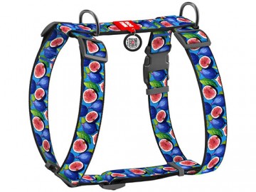 COLLAR (Коллар) - WAUDOG Nylon, Шлейка для собак анатомическая H-образная с QR-паспортом 