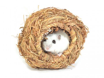 Triol (Триол) - Домик для грызунов из луговых трав 