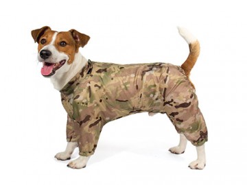 Gamma (Гамма)  - Комбинезон демисезонный 