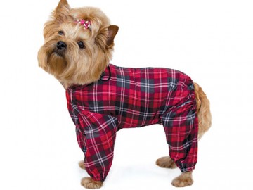 Gamma (Гамма)  - Комбинезон демисезонный 