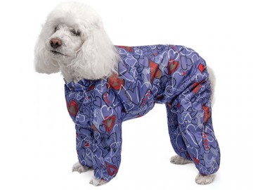 Gamma (Гамма)  - Комбинезон демисезонный 