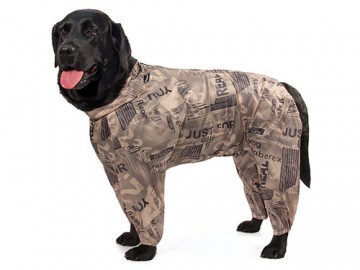 Gamma (Гамма)  - Комбинезон демисезонный 