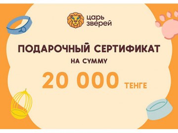 Подарочный сертификат на сумму 20 000 тенге