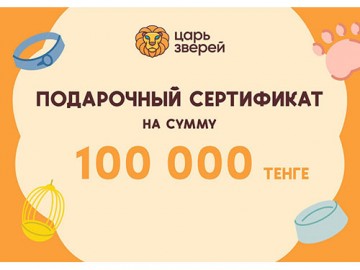 Подарочный сертификат на сумму 100 000 тенге