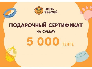 Подарочный сертификат на сумму 5 000 тенге