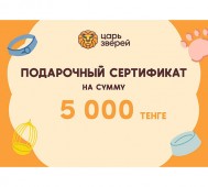 Подарочный сертификат на сумму 5 000 тенге