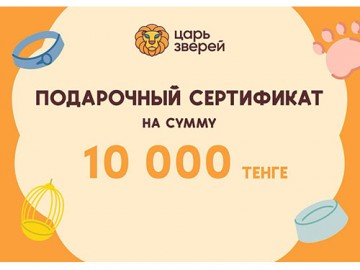Подарочный сертификат на сумму 10 000 тенге