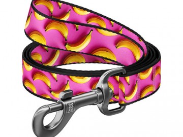 WAUDOG (Ваудог) - Nylon, Поводок для собак 