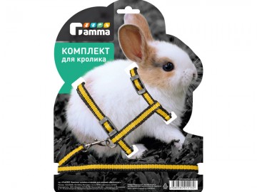 Gamma (Гамма) - Комплект шлейка и поводок для кролика из капрона 