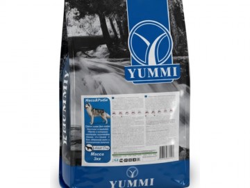 Yummi (Юмми) - Premium, Сухой корм для взрослых собак средних и крупных пород с мясом и рыбой (развес)