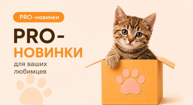 Новинки